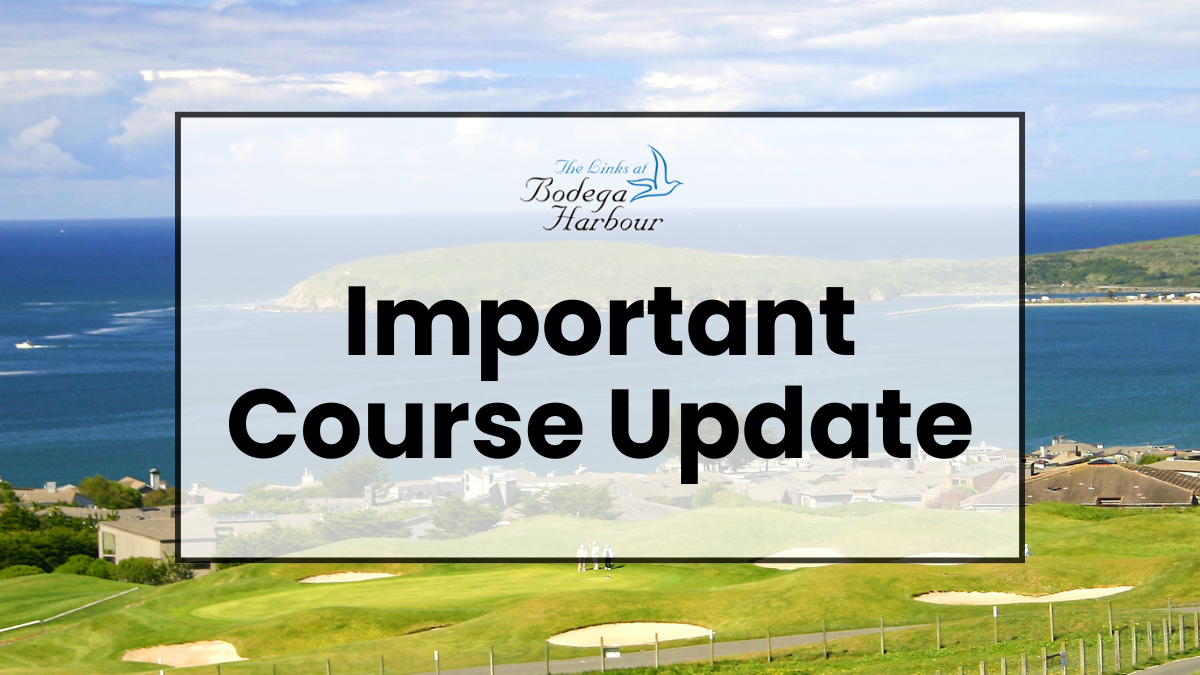 Bodge Harbour Course Update blog